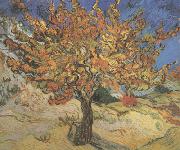 Vincent Van Gogh The Mulberry Tree (nn04) France oil painting artist